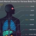 Just so you wanted to know what body parts to sell due to inflation