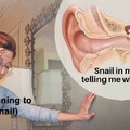 the snail, what is he saying