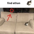 Encuentra a Ethan