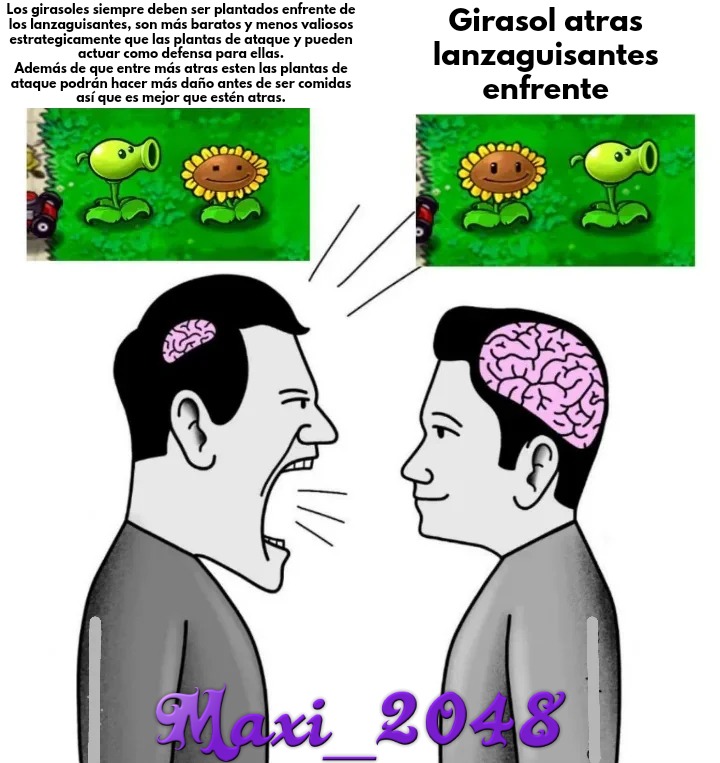 Lanzaguisantes y girasol - meme
