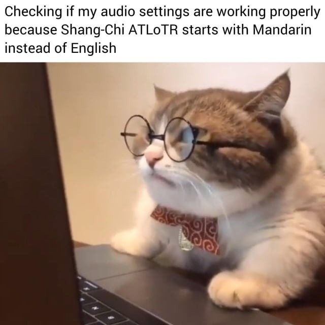 Shang-Chi starts in Mandarin and now I’m checking my audio settings like it’s a hardware issue - meme