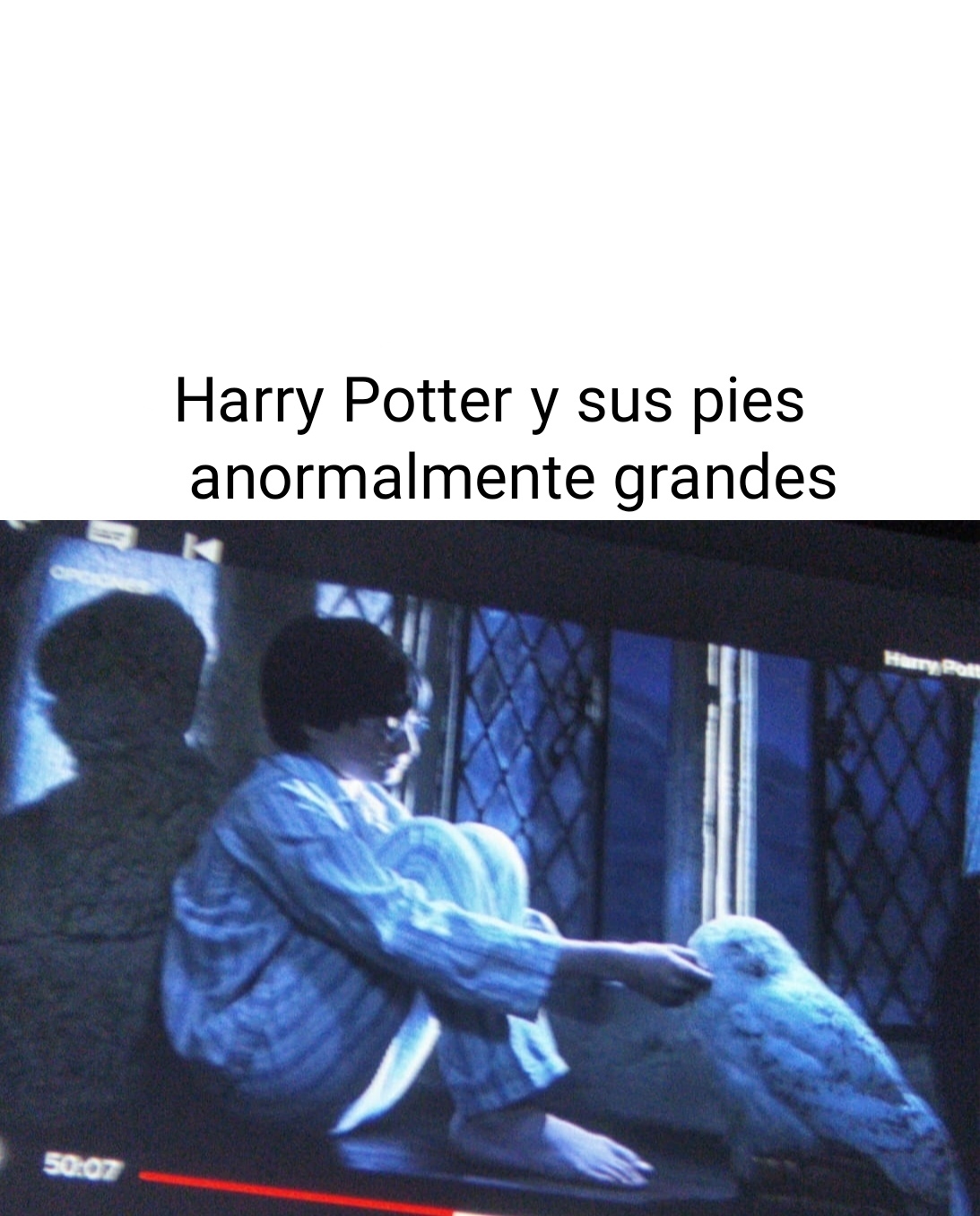 En que momento Harry Potter es el primo lejano del bigfoot - meme
