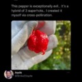 commented item thumbnail