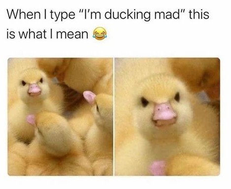 Duck iy - meme