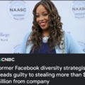 Former Facebook diversity strategist pleads guilty