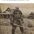 The Shrek samurai