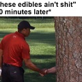 Tiger Woods shaking hands with a tree meme