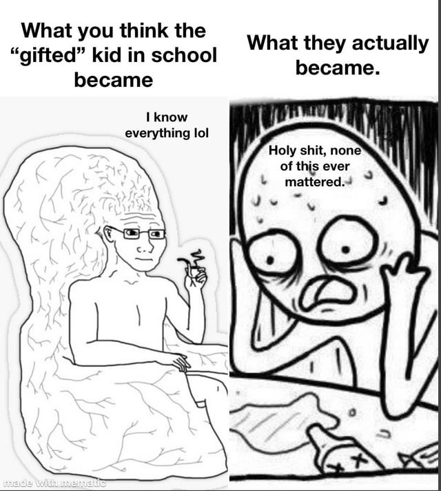 The gifted kid - meme