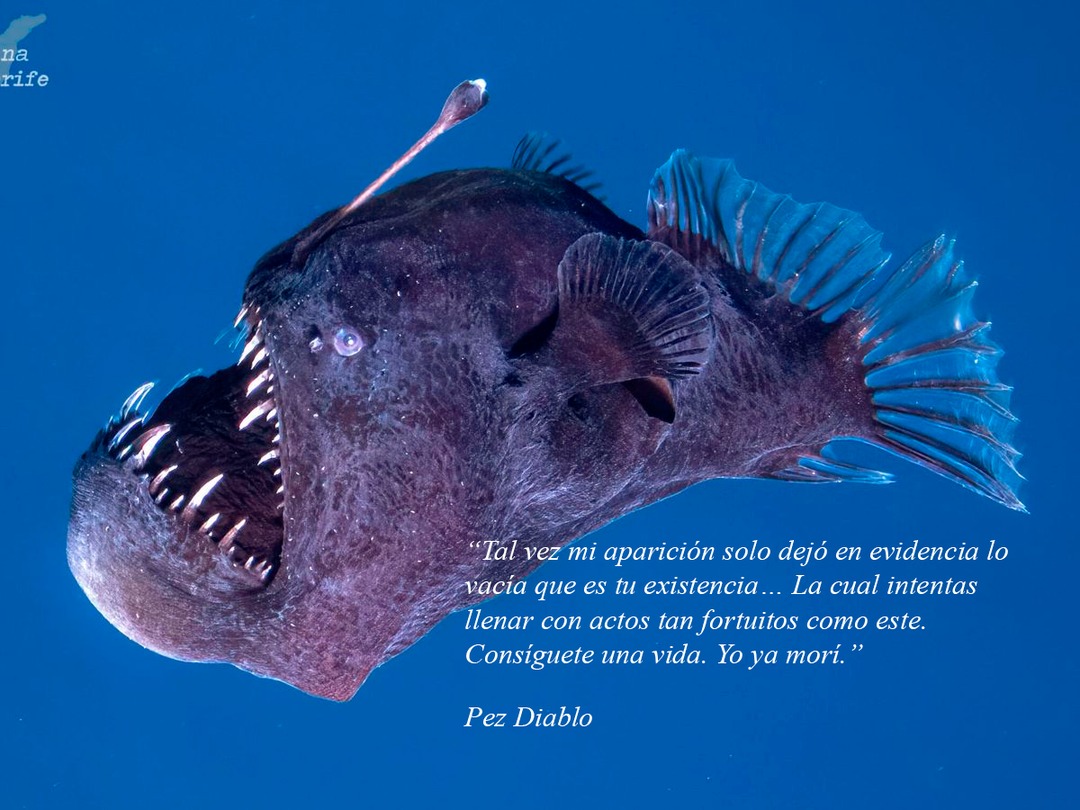 Tirando factos profundos - meme