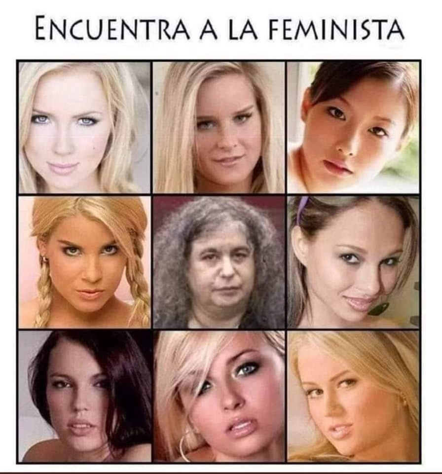 Busca a la feminista - meme