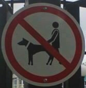 No follar al perro ._.XD - meme