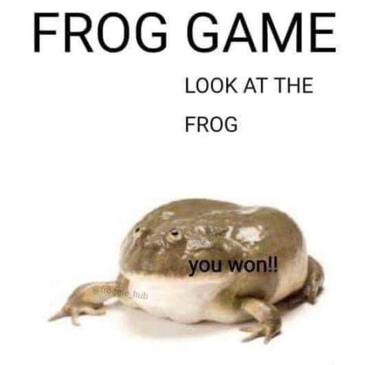 Insert frog - meme