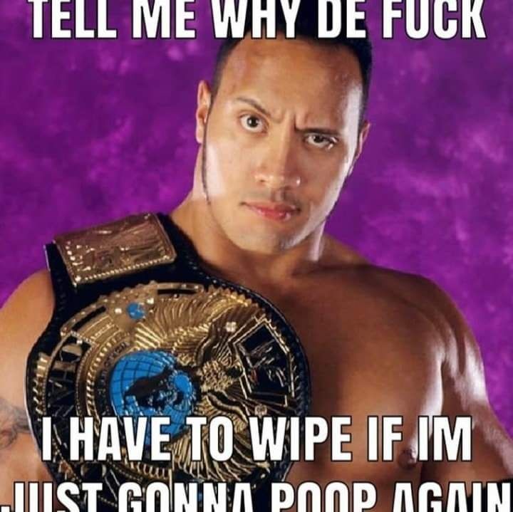 Dongs in a poop - meme