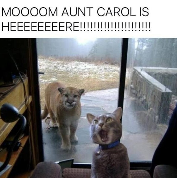 Aunt Carol - meme