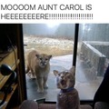 Aunt Carol