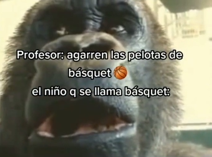 Basquet  - meme