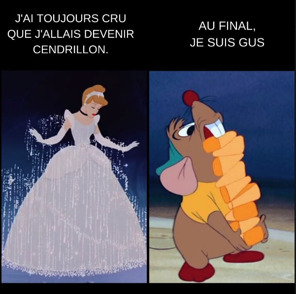 J'ai même pas eu droit au prince charmant - meme