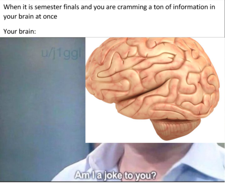 semester finals - meme