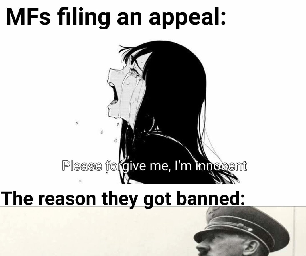 dongs in a ban - meme