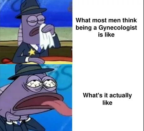 Gynecologist job - meme