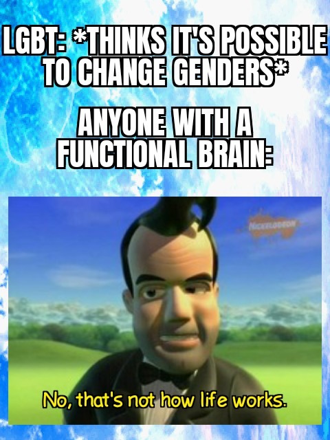 New tag - meme