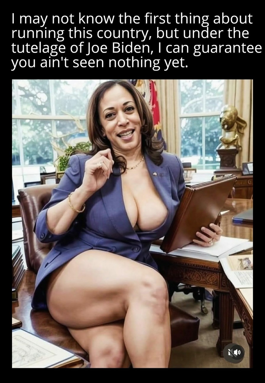 You get what you pay for - meme