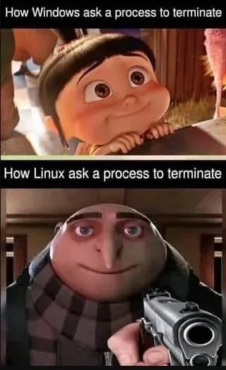 How Linux ask a process to terminate - meme