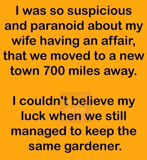Paranoid about my wife's affair - meme