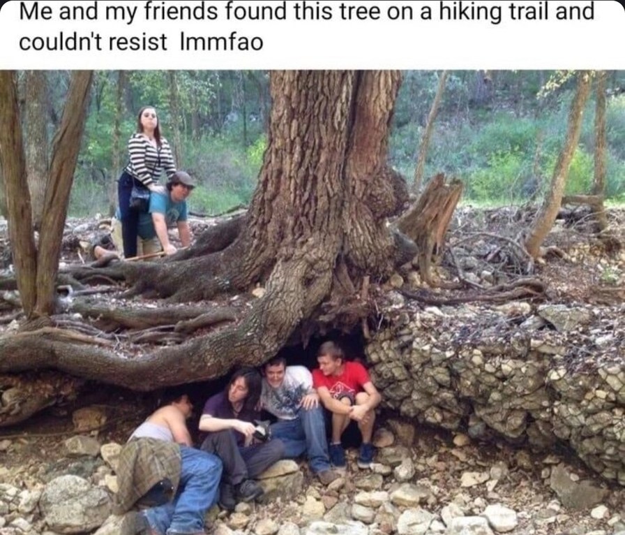We found a tree and instantly lost our dignity - meme