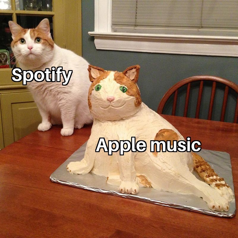 Spotify è il mio migliore amico - meme
