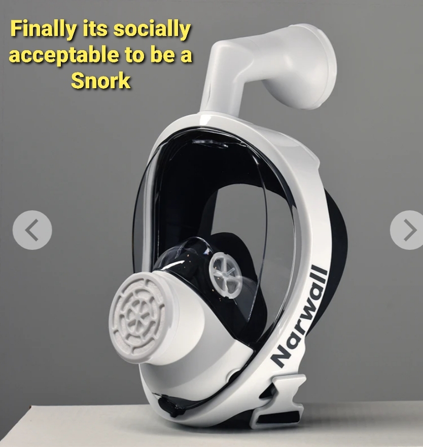 This is just a snork mask - meme