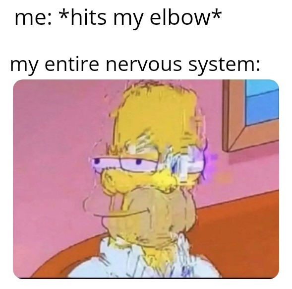 nervous system when you hit your elbow - meme