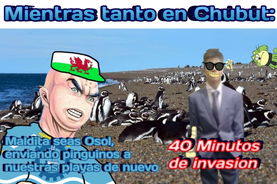 Contexto, en mi provincia Chubut hay muchos pingüinos rodeando las playas de toda la provincia - meme