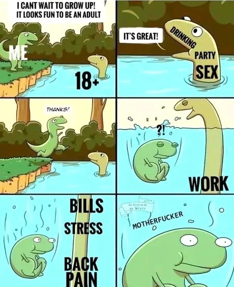 Thought adulting was parties and freedom? Welcome to taxes and back pain - meme