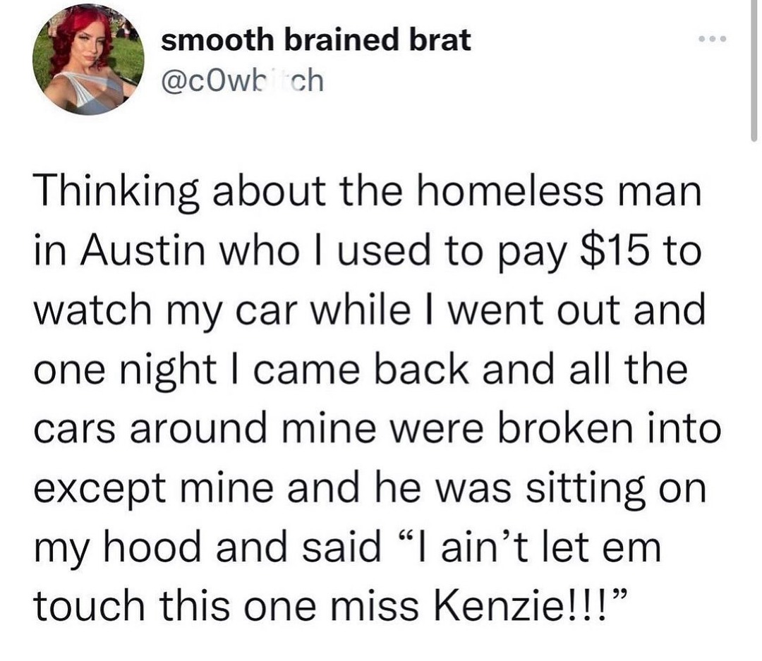 Paid the Austin hood guardian $15 and he protected my car like a champ - meme