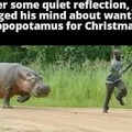 I don’t want a hippopotamus for Christmas