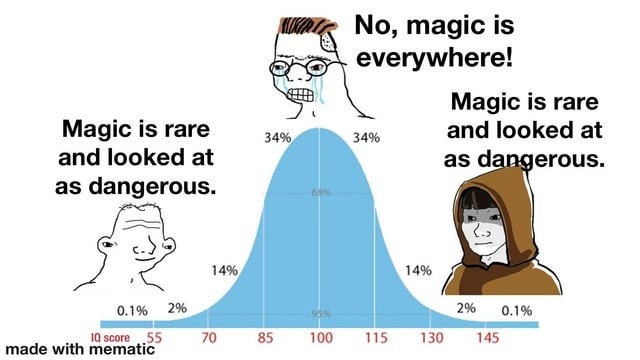 magic exists but society gave it an IQ test - meme