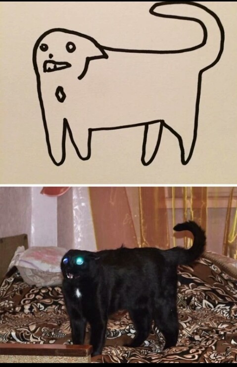 The black cat - meme