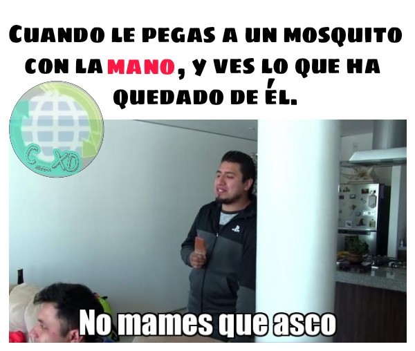 Mosquito. - meme