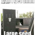 Cani get uhhh large seed