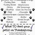 Thanksgiving reminder