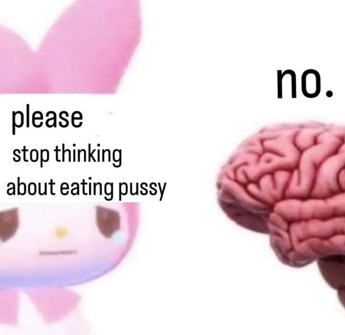 no - meme