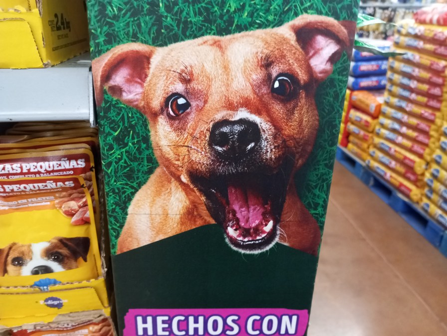 Perro screamer - meme