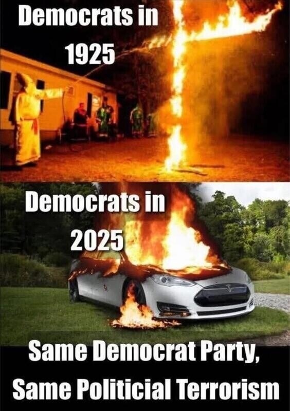 Libs gonna lib. - meme