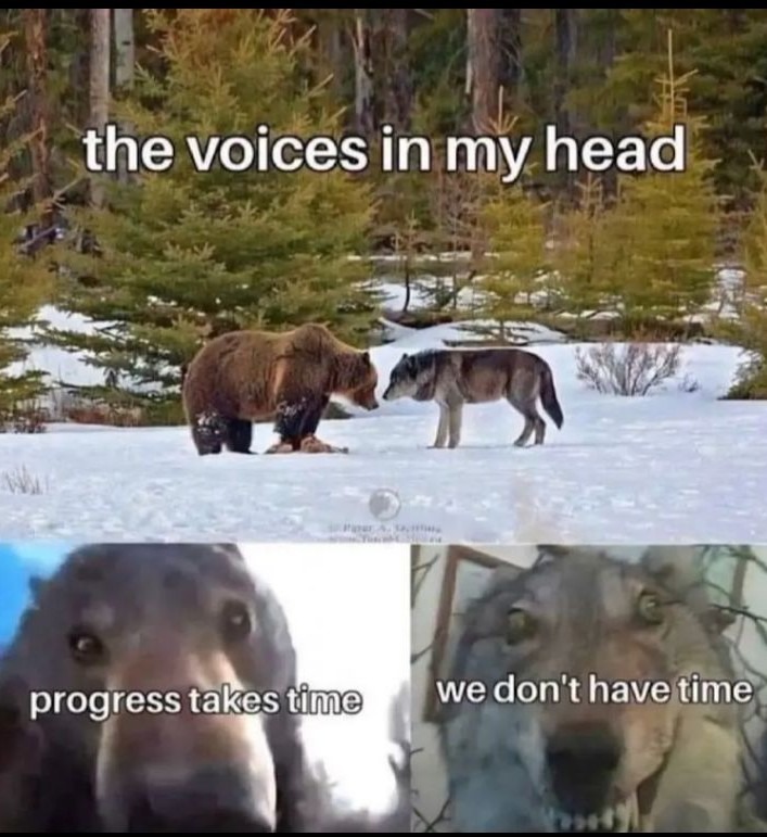 E - meme