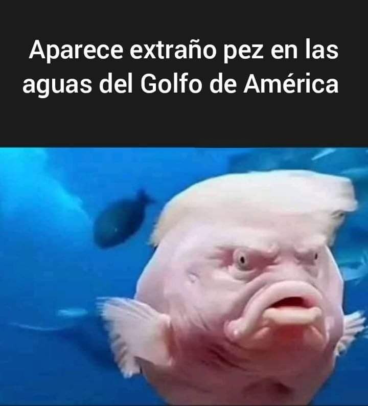 y ahora qué se supone que hagamos - meme