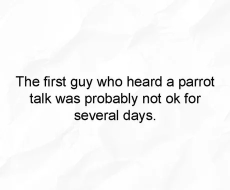 a talking parrot! free money - meme