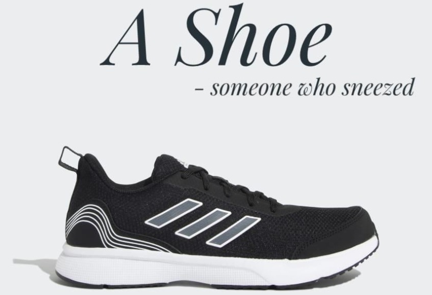 A shoe - meme