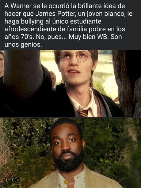 El lore de la serie de Harry Potter - meme