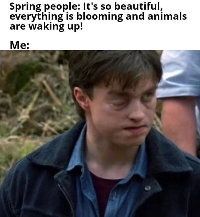Spring allergies meme